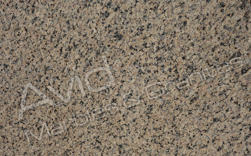Omega Yellow Granite Manufacturers from India