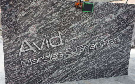 Amadeus Blue Granite Suppliers from India