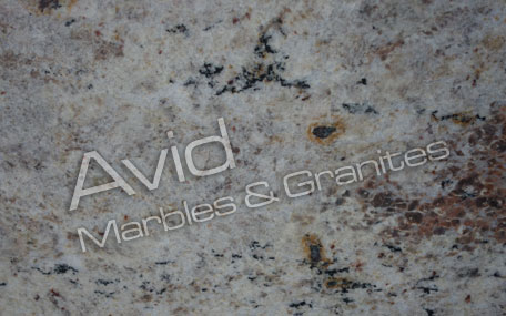 Bahama Ivory Granite Suppliers from India