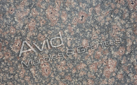 Bala Flower Granite Suppliers from India