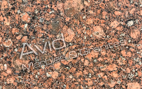 Baltic Red Granite Suppliers from India
