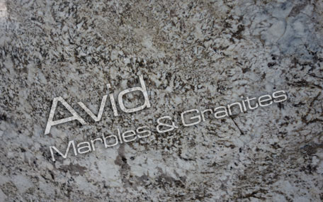 BiancoAntico Granite Suppliers from India