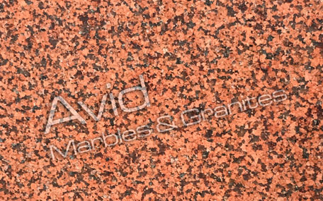 Classic Red Granite Suppliers from India