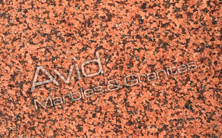 Classic Red Granite Exporters from India