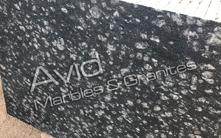 Coin Black Granite Exporters from India