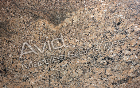 Coral Brown Granite Suppliers from India