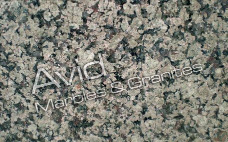 Desert Green Granite Wholesalers in India