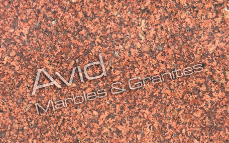 Earth Red Granite Suppliers from India