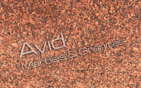 Earth Red Granite Wholesalers in India