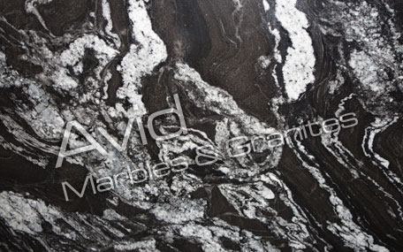 Forest Black Granite Exporters from India