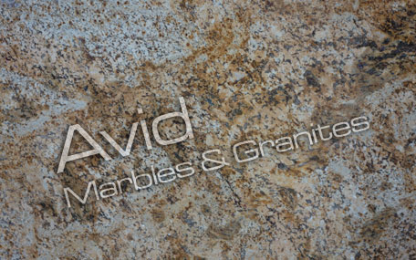 Golden Harvest Granite Suppliers from India