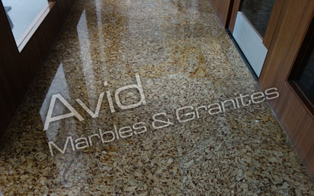 Honey Gold Granite Suppliers from India