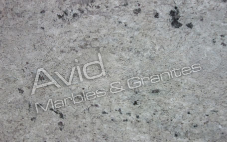 Ice White Granite Wholesalers in India