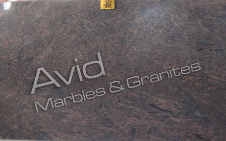 Indian Dakota Granite Exporters from India