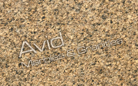 May Yellow Granite Suppliers from India
