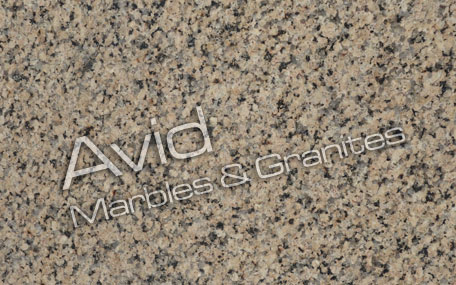 Omega Yellow Granite Suppliers from India