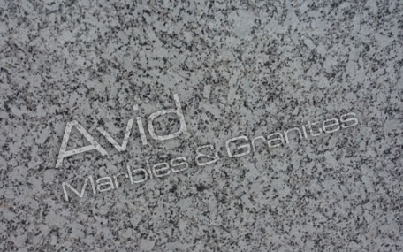 P White Granite Suppliers from India