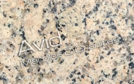 Panther Yellow Granite Suppliers from India