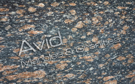 Peacock Brown Granite Suppliers from India