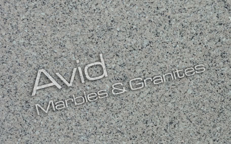 Pewter Grey Granite Suppliers from India