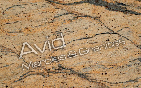 Prada Gold Granite Suppliers from India