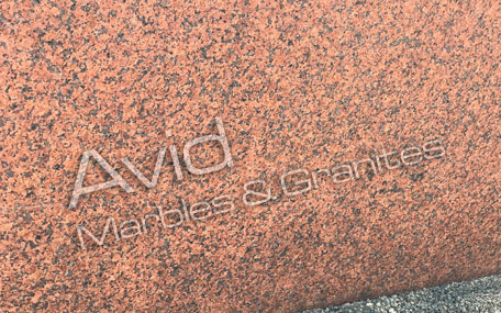 Royal Red Granite Suppliers from India