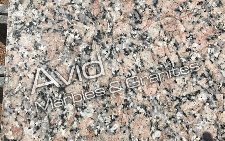 Urban Classic Granite Suppliers from India