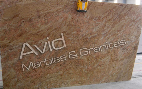 Vyara Gold Granite Wholesalers in India