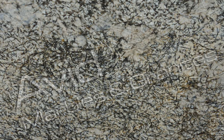 Cairo Gold Granite Exporters from India