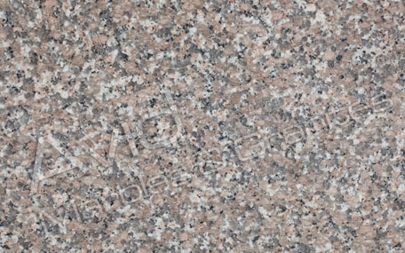 Chima Pink Granite Exporters from India