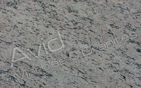 May Flower Granite Exporters from India