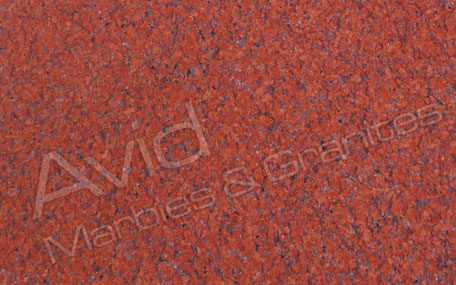 Ruby Red Granite Exporters from India