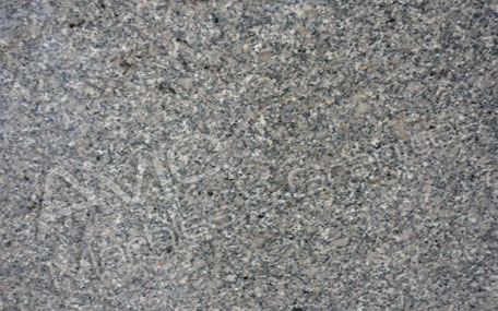 Sable Brown Granite Exporters from India