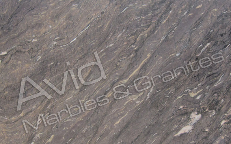 Scorpio Brown Marble Manufacturers from India