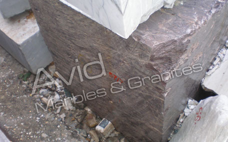 Scorpio Brown Marble Producers in India