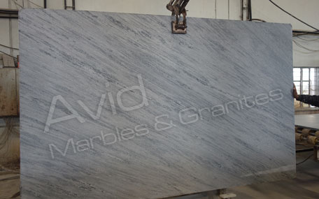 Squirrel Grey Marble Suppliers from India
