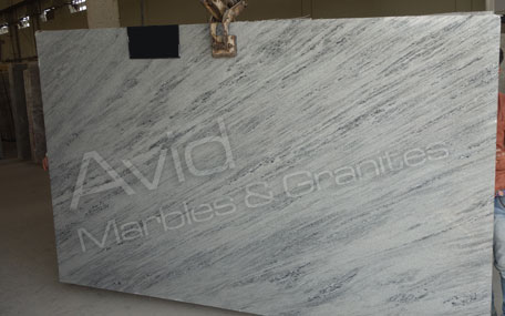 Squirrel Grey Marble Wholesalers in India