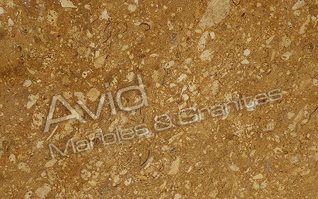 Desert Gold Marble Exporters from India