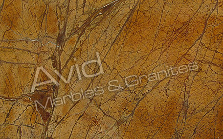 Rainforest Gold Marble Exporters from India