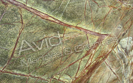 Rainforest Green Marble Exporters from India