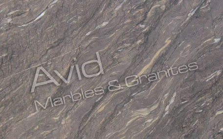 Scorpio Brown Marble Exporters from India