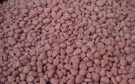 Agra Red Sandstone Patio Paving Suppliers in India