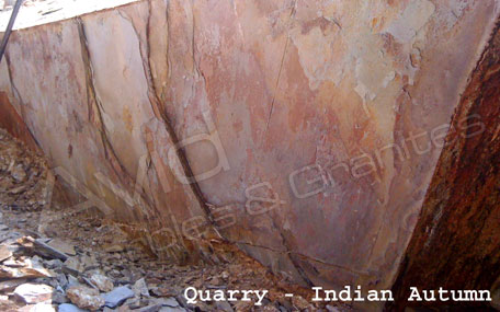 Indian Autumn Natural Ledge Stone Suppliers in India